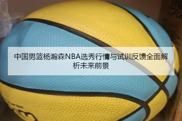 中国男篮杨瀚森NBA选秀行情与试训反馈全面解析未来前景